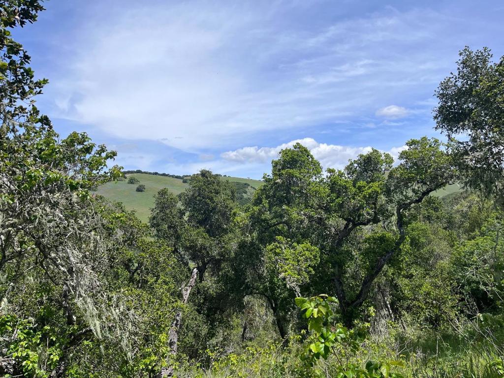 33446 E Carmel Valley Road
