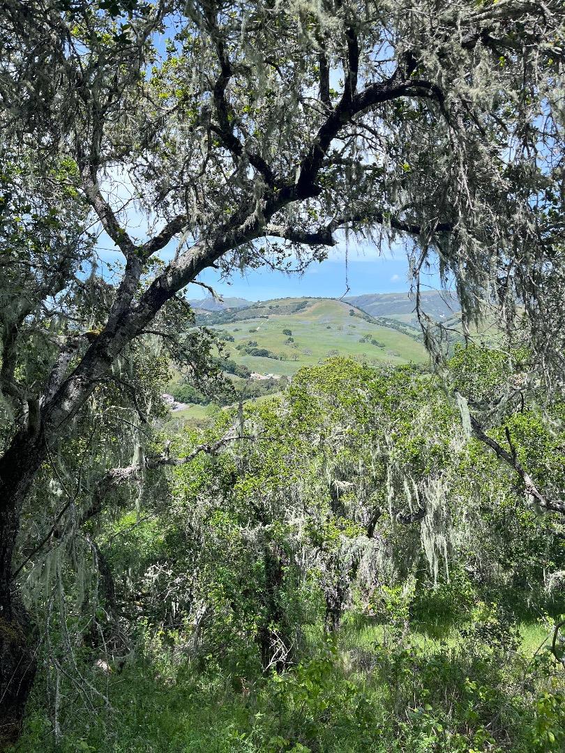 33446 E Carmel Valley Road