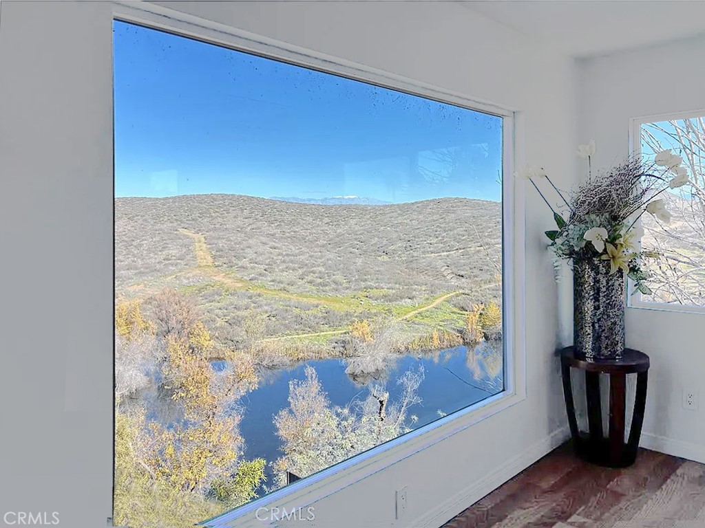 21734 Appaloosa Court