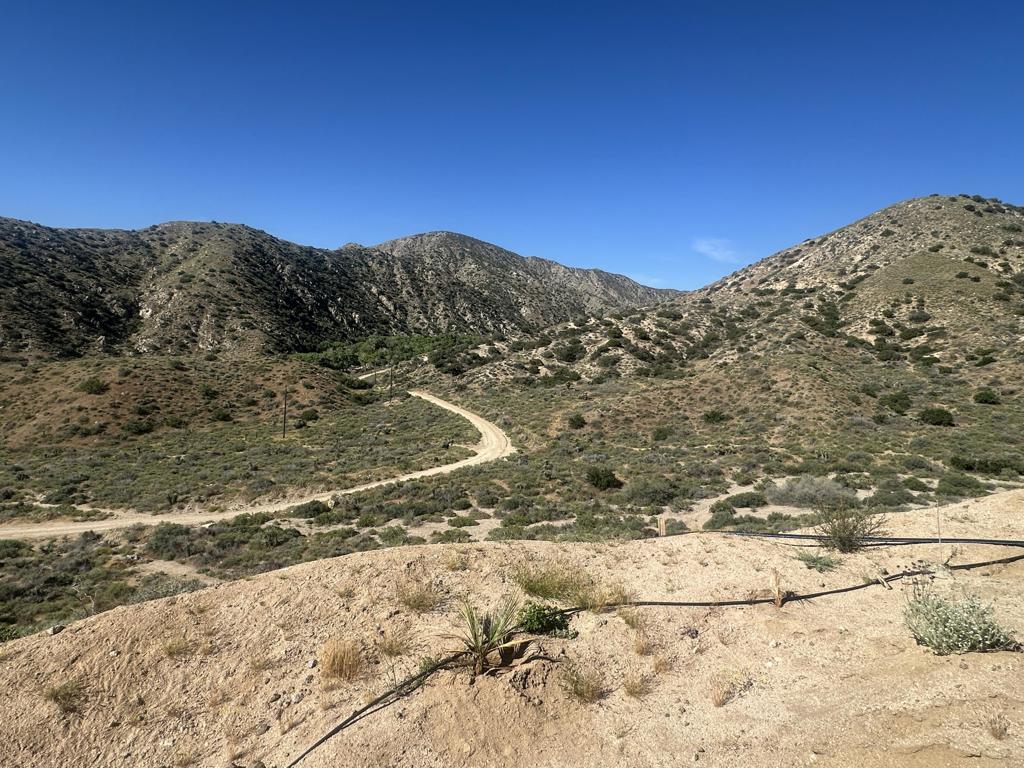 48980 Big Morongo Canyon Road