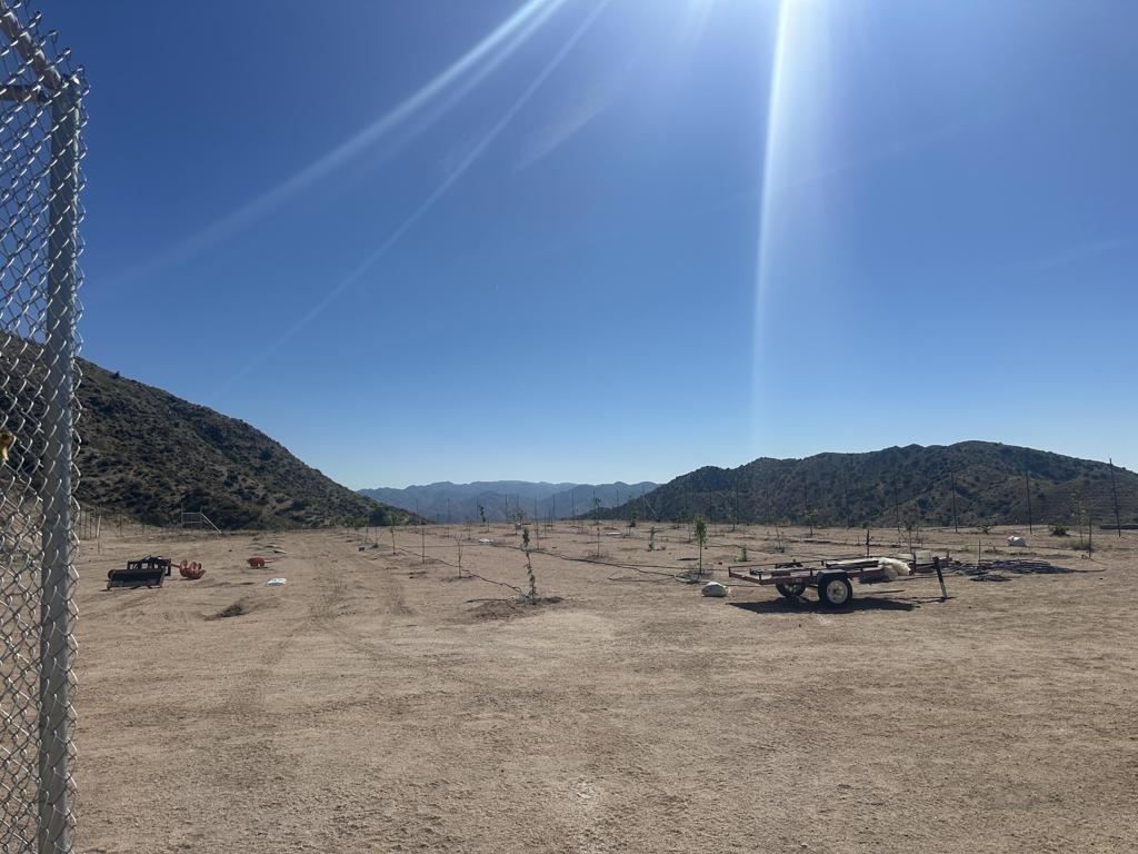 48980 Big Morongo Canyon Road