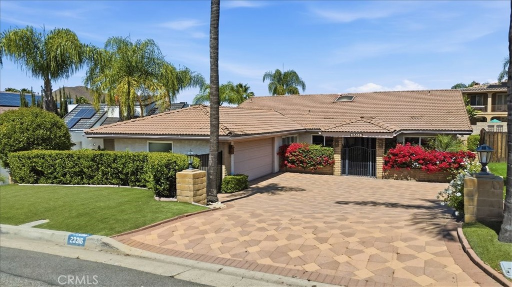 23316 Gray Fox Drive