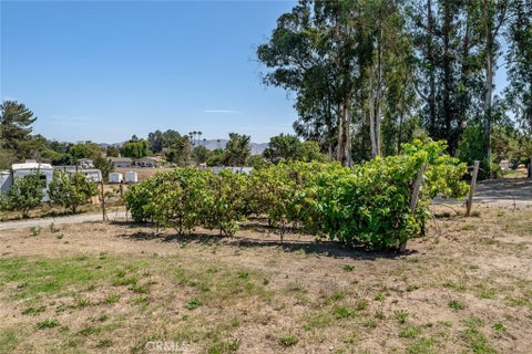 Tiny photo for 1497 La Quinta Drive, Nipomo, CA 93444 (MLS # SC26185367)