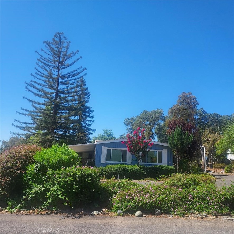 This home is located on one of the largest lots in the Oak Sr. Community. The circular driveway leads to a carport with direct access into the home. Covered sitting areas on both sides of the home bring the outdoors in. The open floorplan has sliding doors to both porches. There is a formal living room with fireplace, spacious dining area, family room and separate coffe bar and open kitchen. The heating and air conditioning systems were recently replaced.. There are lovely double pane windows that showcase the beautiful foothills view. A portion of the full porch has been enclosed for a sewing room right off the primary bedroom. Large Storage Shed behind driveway. First time on the market since 2014. The Oaks is a beautiful park just up the hill from downtown and near Lake Oroville. Gates are locked at night. Underground utilities, Clubhouse, 2 pools, craft room and walking trails. Shopping is just outside the park.