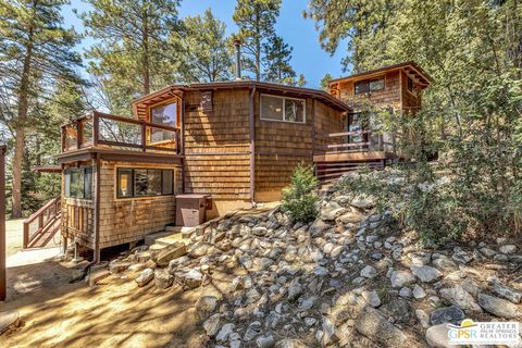 Photo of 23031 Pine Needles Lane, Idyllwild, CA 92549 (MLS # 25535674PS)