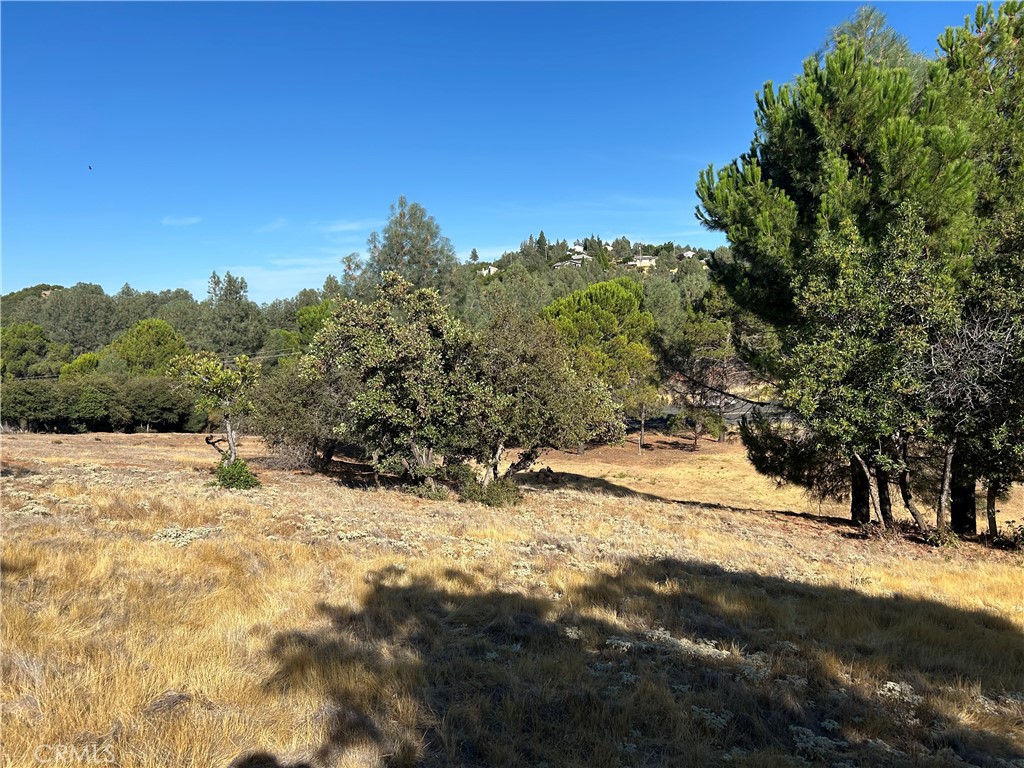 9658 Fairway Drive