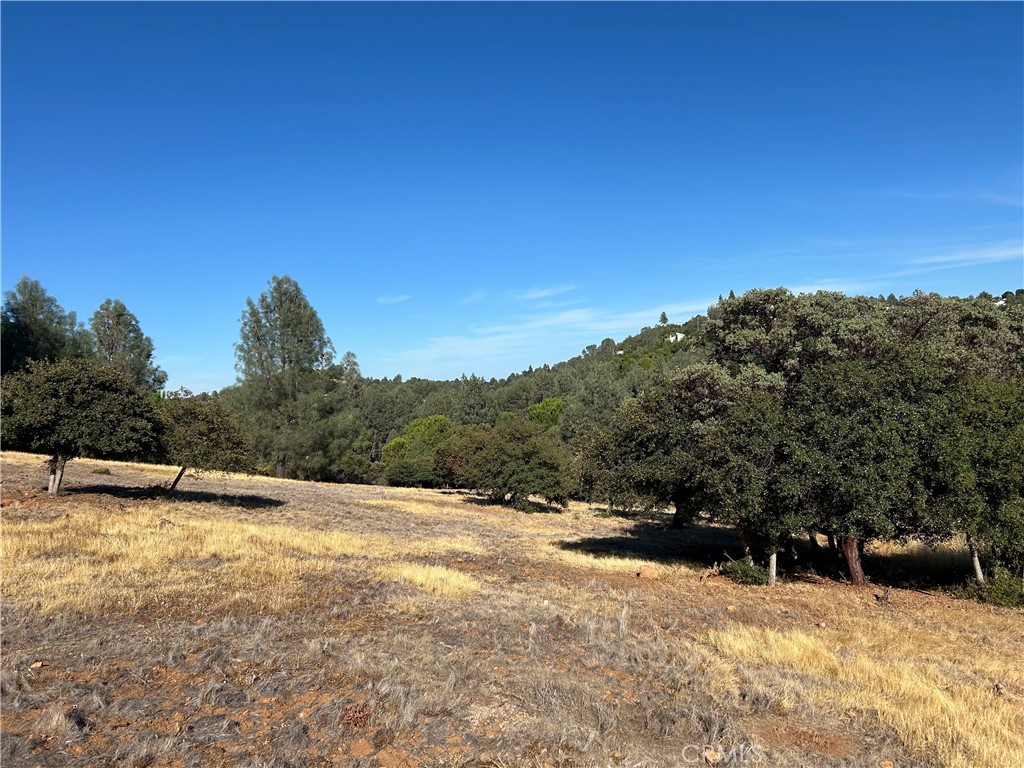 Great opportunity for development or communal living! Three separate parcels sold together totaling over 1.5 acres. These are all zoned R2, so each parcel could possibly have two main homes and two ADUs. Buyer to verify with county on required setbacks. Great location just off Soda Bay Road for easy commute onto the highway and walking distance to the market, coffee shop, and restaurants. Plus, Kelseyville Riviera does not have short term rental restrictions. Seller financing available at 7% for 7 years with $20k down. Imagine the possibilities!