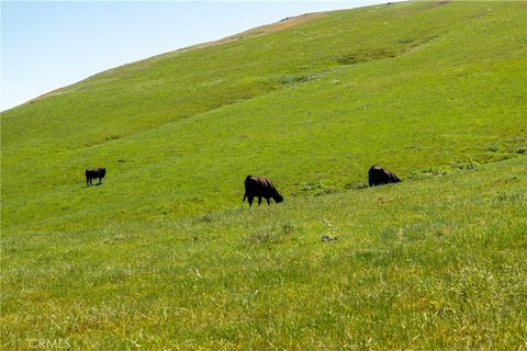 Tiny photo for 2440 Little Morro Creek Rd, Morro Bay, CA 93442 (MLS # SN26083575)