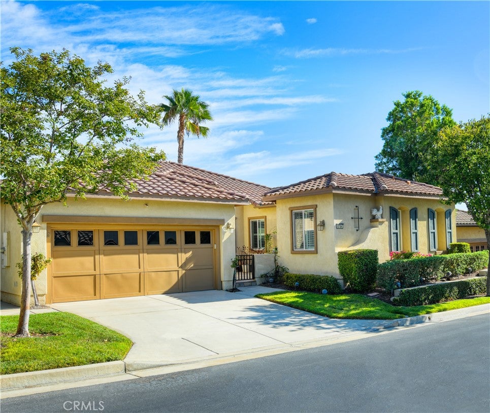 8784 Larkspur