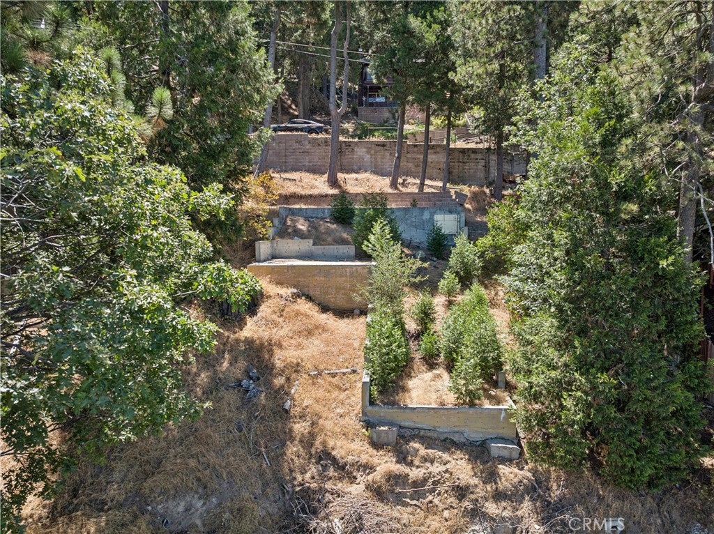 24240 Bernard Drive