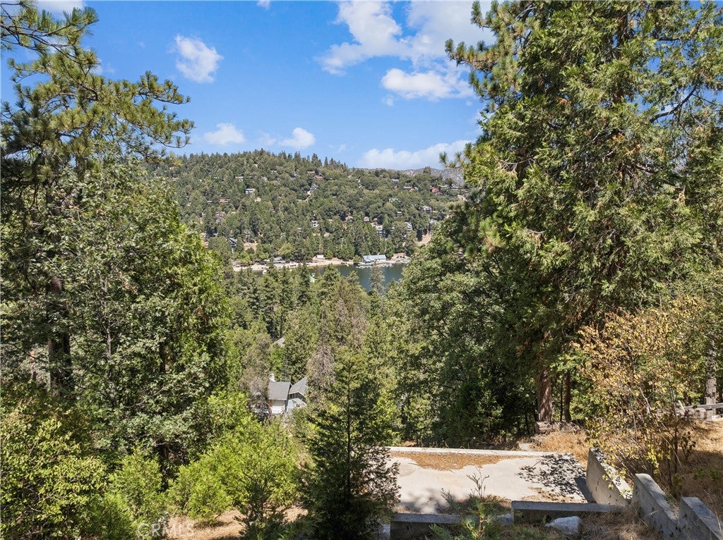 24240 Bernard Drive