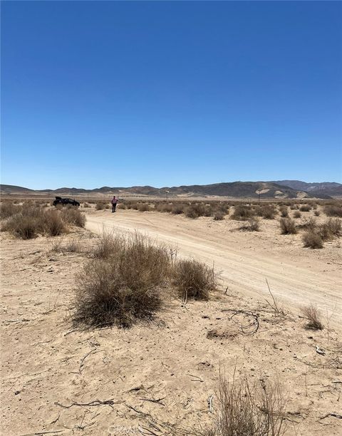 Photo of 0 Reagan Road, Joshua Tree, CA 92252 (MLS # IG23177495)