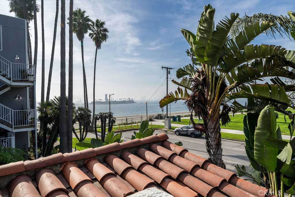 Bluff Park (BLF) - Residential Lease