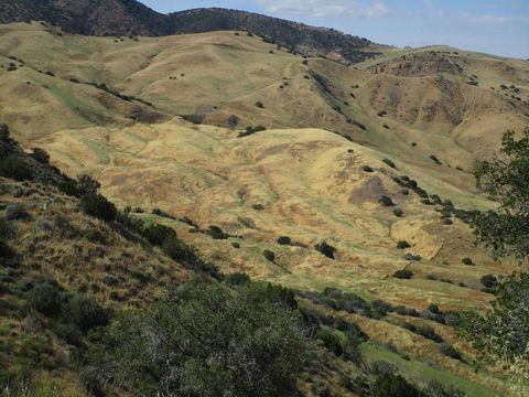 Photo of 0 New Idria Road, Paicines, CA 95043 (MLS # ML82045544)