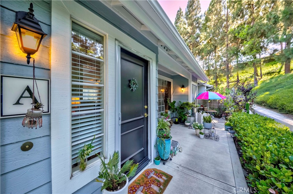 23412 Pacific Park Drive 6A