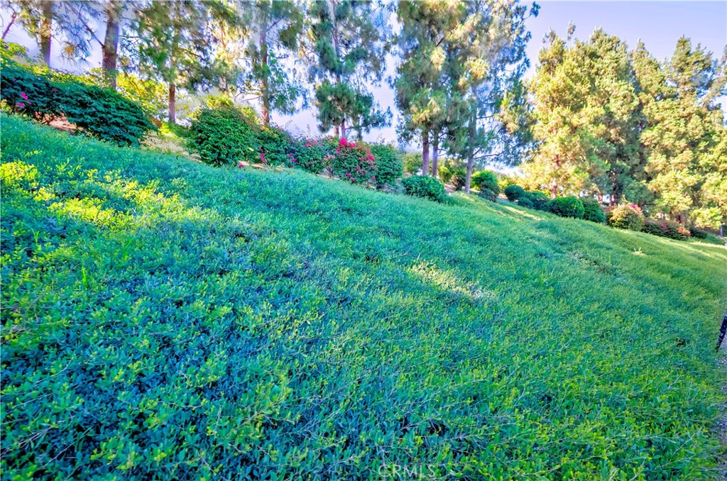 Canyon Villas (CANV) - Residential