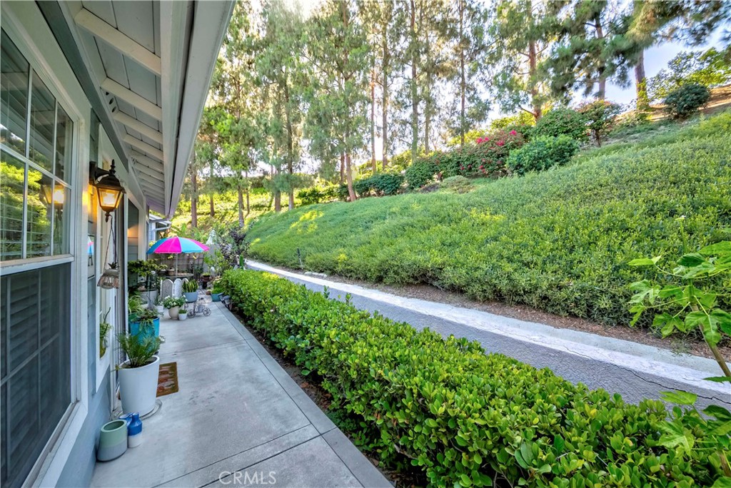 23412 Pacific Park Drive 6A