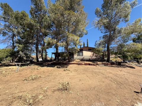 33614 Arksey Acton CA 93510