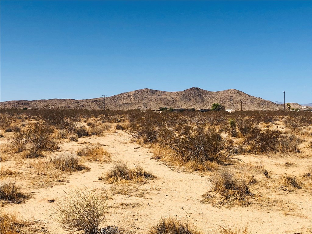 2.5 acre corner lot to enjoy desert sunsets and stargazing. Water and power appear to be available - buyer to verify. Build or invest. Popular short term rental area. Short drive to Wat Santi Buddhist Temple, Giant Rock, and other local attractions. Endless off-road trails to explore. About 25 minutes to Joshua Tree National Park and an hour to Big Bear. Property does not have an assigned address - for listing purposes only. APN: 0631-191-03-0000 GPS: (34.2511073, -116.3453215). Owner May Carry!