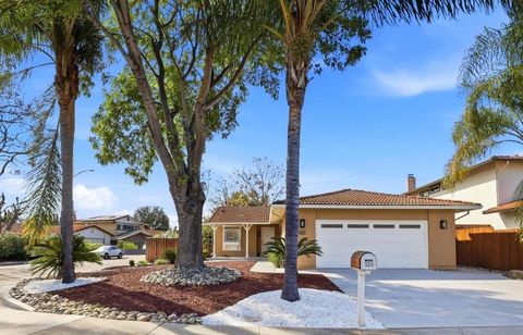 Photo of 536 Glenburry Way, San Jose, CA 95123 (MLS # ML82037490)