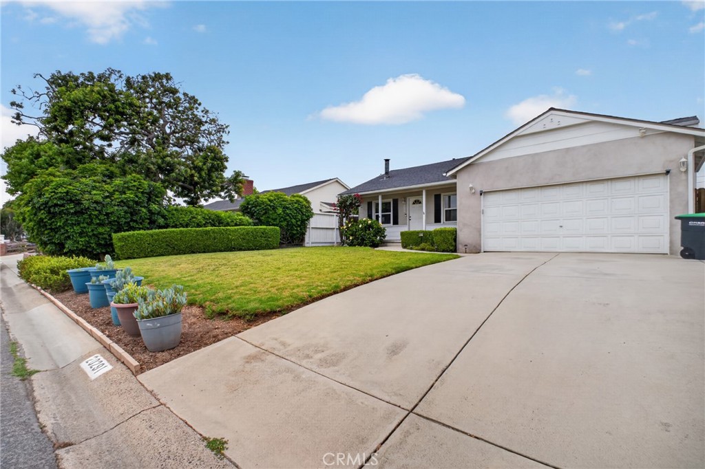 20291 Spruce