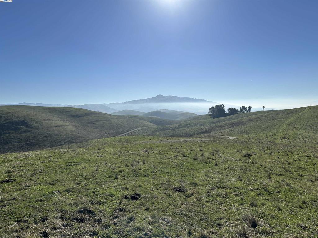 MORRIS CANYON - Land