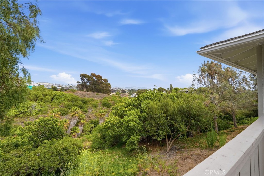 3501 Paseo Flamenco, San Clemente CA 92672 - Photo 39