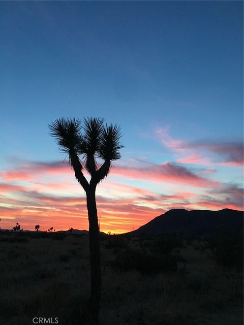 Photo of 59990 Mitch Lane, Landers, CA 92285 (MLS # JT25163202) Photo of 59990 Mitch Lane, Landers, CA 92285 (MLS # JT25163202)