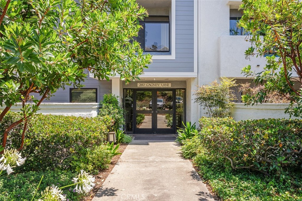 260 Cagney Lane 206