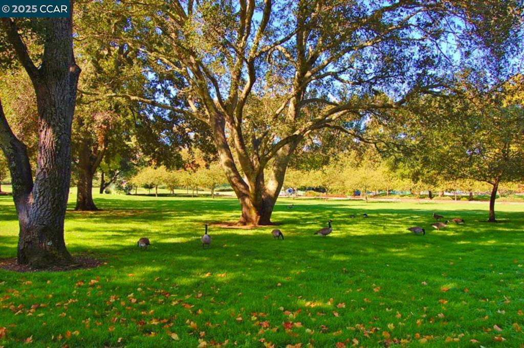 ROSSMOOR - Residential