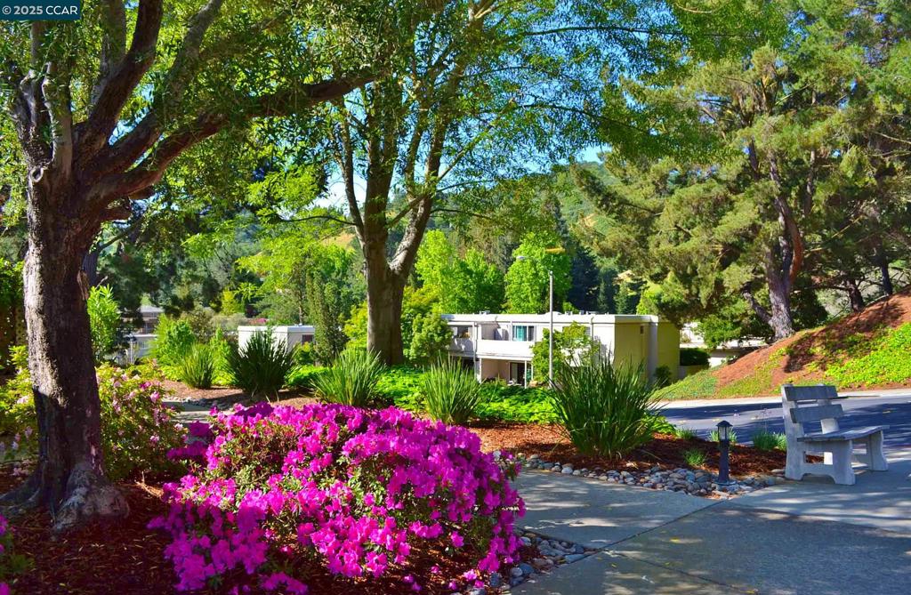 ROSSMOOR - Residential