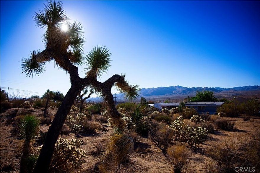 Your Desert Escape with a View!
Here’s your chance to own 2.5 acres of open desert beauty in Yucca Valley. This spacious lot offers breathtaking panoramic views—the kind you’ll want to wake up to every day. Whether you’re dreaming of building a peaceful retreat, a weekend getaway, or your forever home, this property is your blank canvas to make it happen.

Come see it for yourself and take in the amazing scenery firsthand!
Buyers and agents are to verify the distance and availability of utilities.
