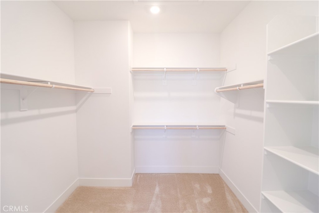 luna park - Residential Lease