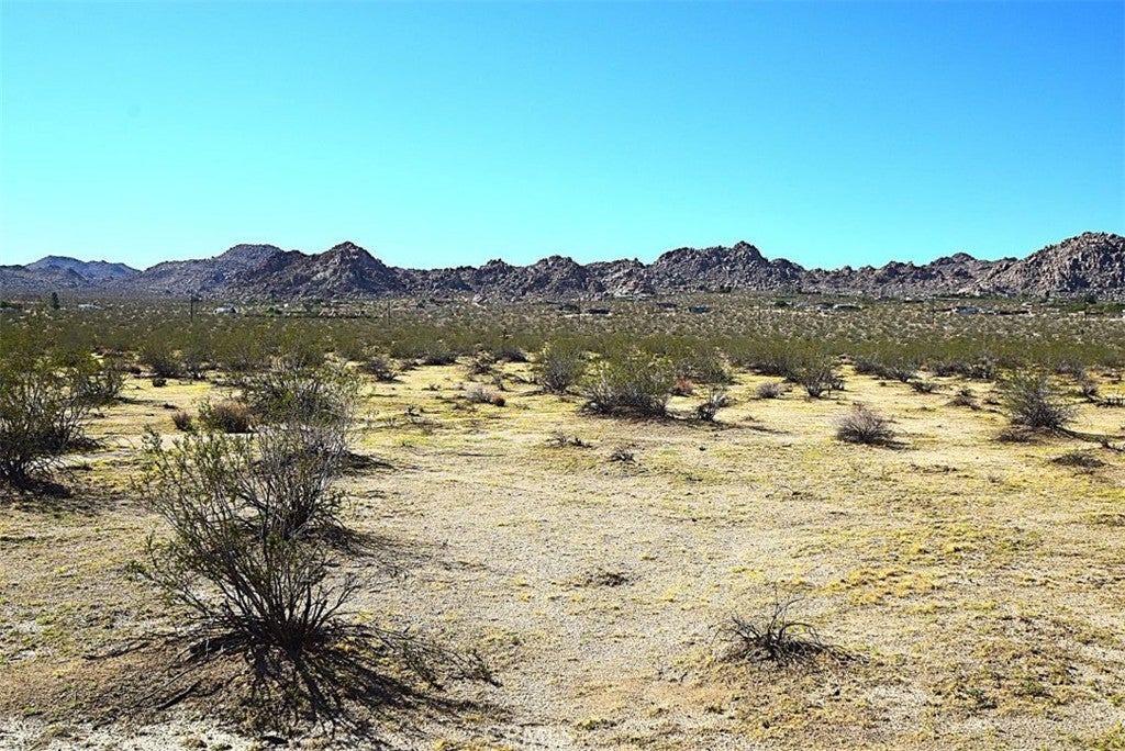 0 29 Palms Highway