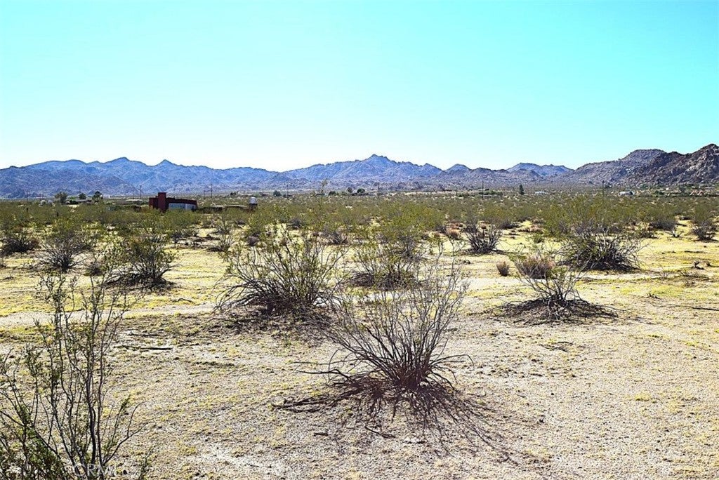 0 29 Palms Highway