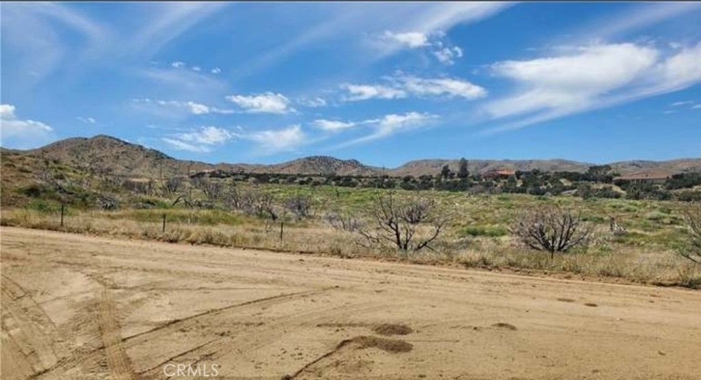 listing image 130726064237259947026