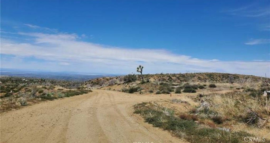 listing image 130721541910605015768