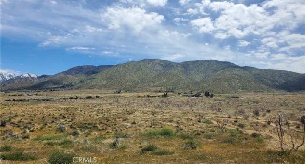 listing image 130720424514147265004