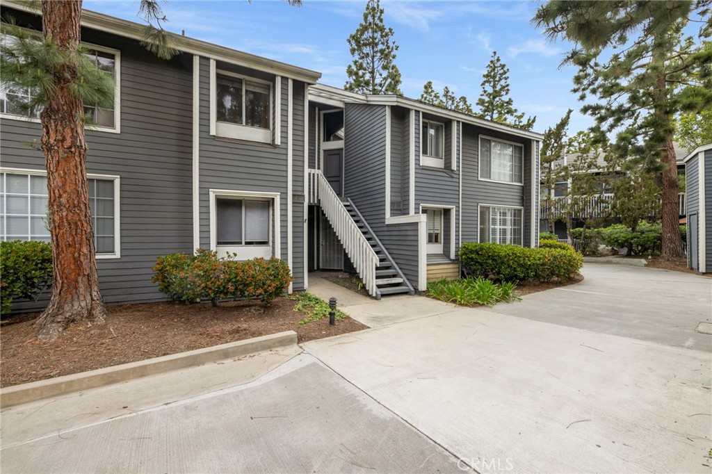 25339 Pine Creek Lane