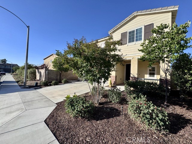 24282 Red Spruce