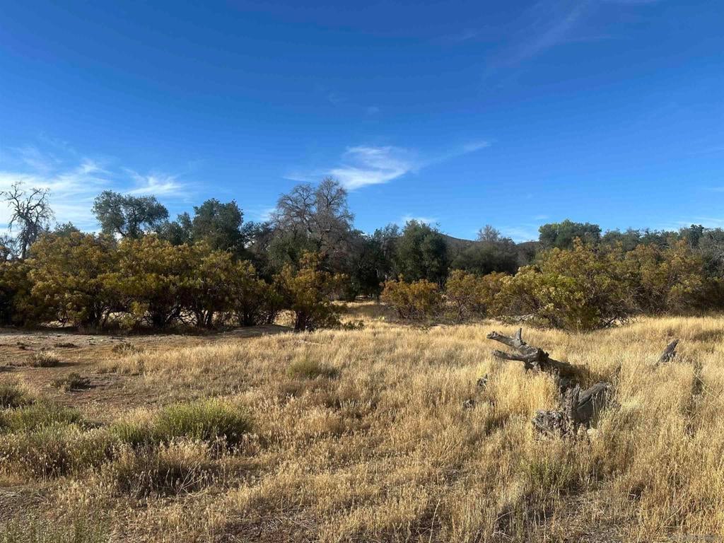 30006 Chihuahua Valley