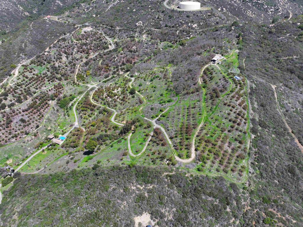 40 acre avocado ranch with family fruit tree grove. property consists of 3 APN's which would allow for 3 homes and 3 ADU's. The views from the top are amazing. There is a substantial road network which allows access to every inch of the property.
