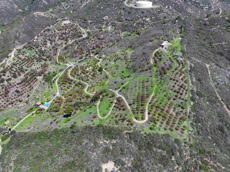 40 acre avocado ranch with family fruit tree grove. property consists of 3 APN's which would allow for 3 homes and 3 ADU's. The views from the top are amazing. There is a substantial road network which allows access to every inch of the property.