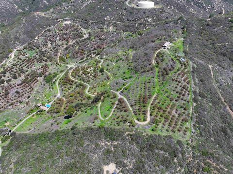 Photo of 2339 Green Valley Rd Rd, Fallbrook, CA 92028 (MLS # 250027602SD)