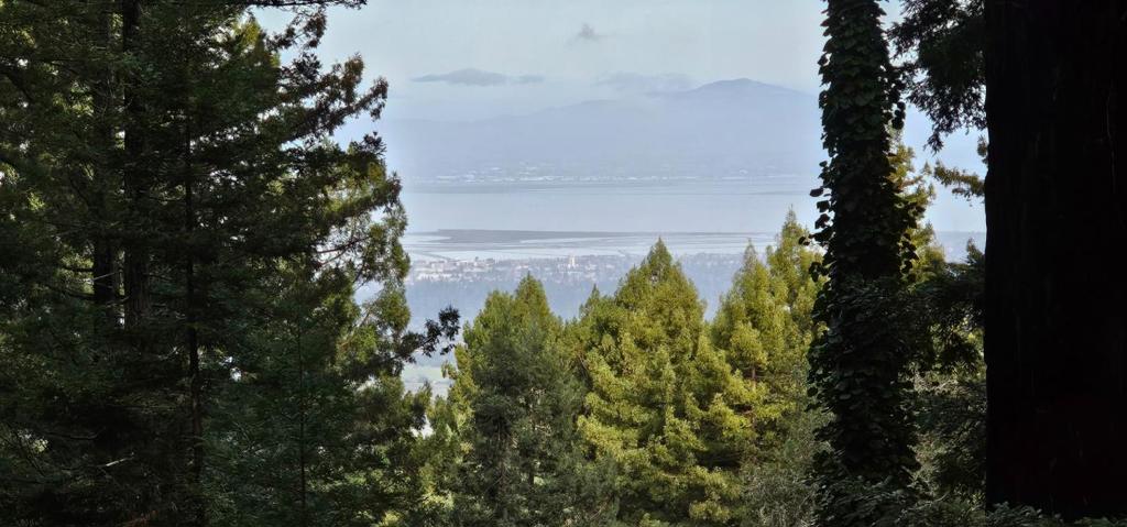 Wonderful opportunity to live in your own private forest with views of the bay! This property located in the Skyline area of Woodside offers so many opportunities. This 3 bedroom / 2 bath, 1,460 Sq. Ft. home sits among over 2 acres of land. Property consists of 4 separate parcel numbers: 075-181-100, 075-173-110, 075-173-120 & 075-183-010. Potential to remodel existing home & build 2 more with ADUs for a total of 3 houses with 3 ADUs (Buyer to verify building options). Just 7 short miles from Hwy 280, this property is conveniently located close to Alices Restaurant and a convenience store; feeds into great schools. Surrounded by redwood trees offering much privacy. There is also a separate entrance from Sequoia Way. These owners have lived at the property for over 50 years...it must be pretty special!