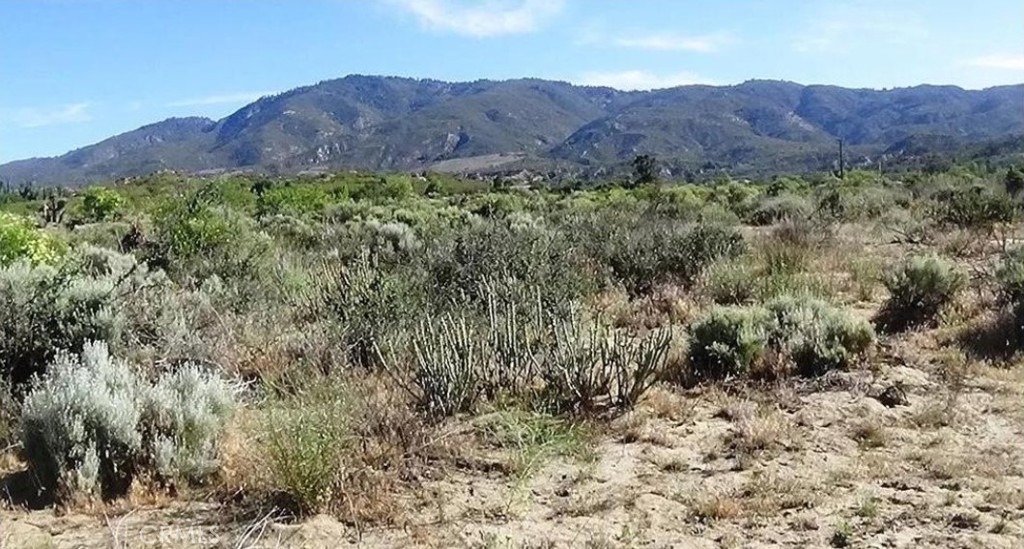 Beautiful 4.91 acre mostly flat and usable lot. The lot has 360 degree views of Mountains and valley and sits in a wonderful location in town with privacy yet not far from town or pavement. There is a small graded area to give you an idea of what your home site could look like. Perfect lot for anyone who wants the flexibility of a usable lot. This is one of four adjacent lots for sale ask your agent for a lot map and take your pick! The lot recently had all corners marked by a surveyor. Use caution when driving onto newly graded pad as soil is loose.