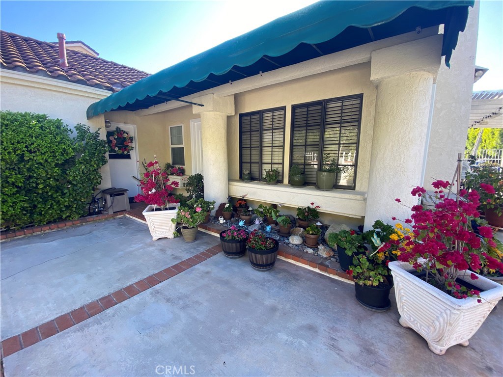 355 Beverly Drive