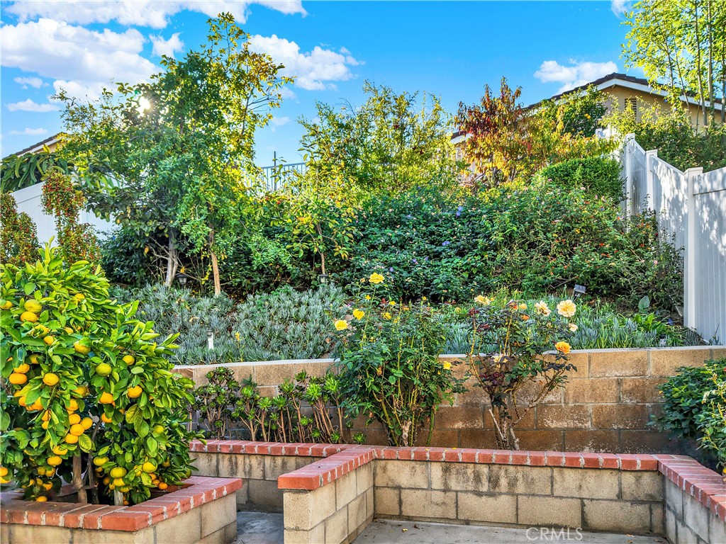 Bel Air (BELA) - Residential