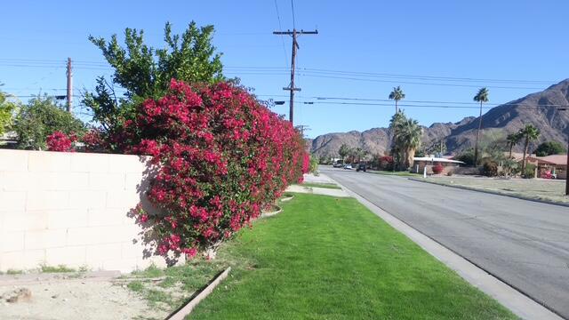 La Quinta Cove - Residential
