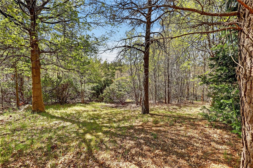 Lake Arrowhead, California, 92352, United States, 5 Bedrooms Bedrooms, ,4 BathroomsBathrooms,Residential,Active,2034696